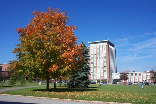 紐約州立大學(xué)賓漢姆頓大學(xué)Binghamton University SUNY