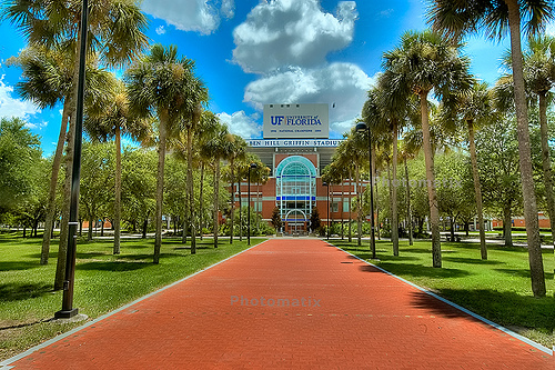 佛羅里達(dá)大學(xué)University of Florida