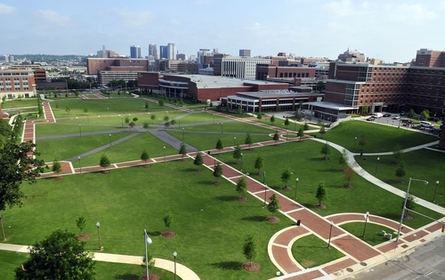阿拉巴馬大學(xué)伯明翰分校  The University of Alabama at Birmingham