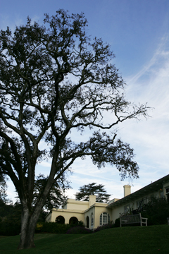 布蘭森中學 The Branson School