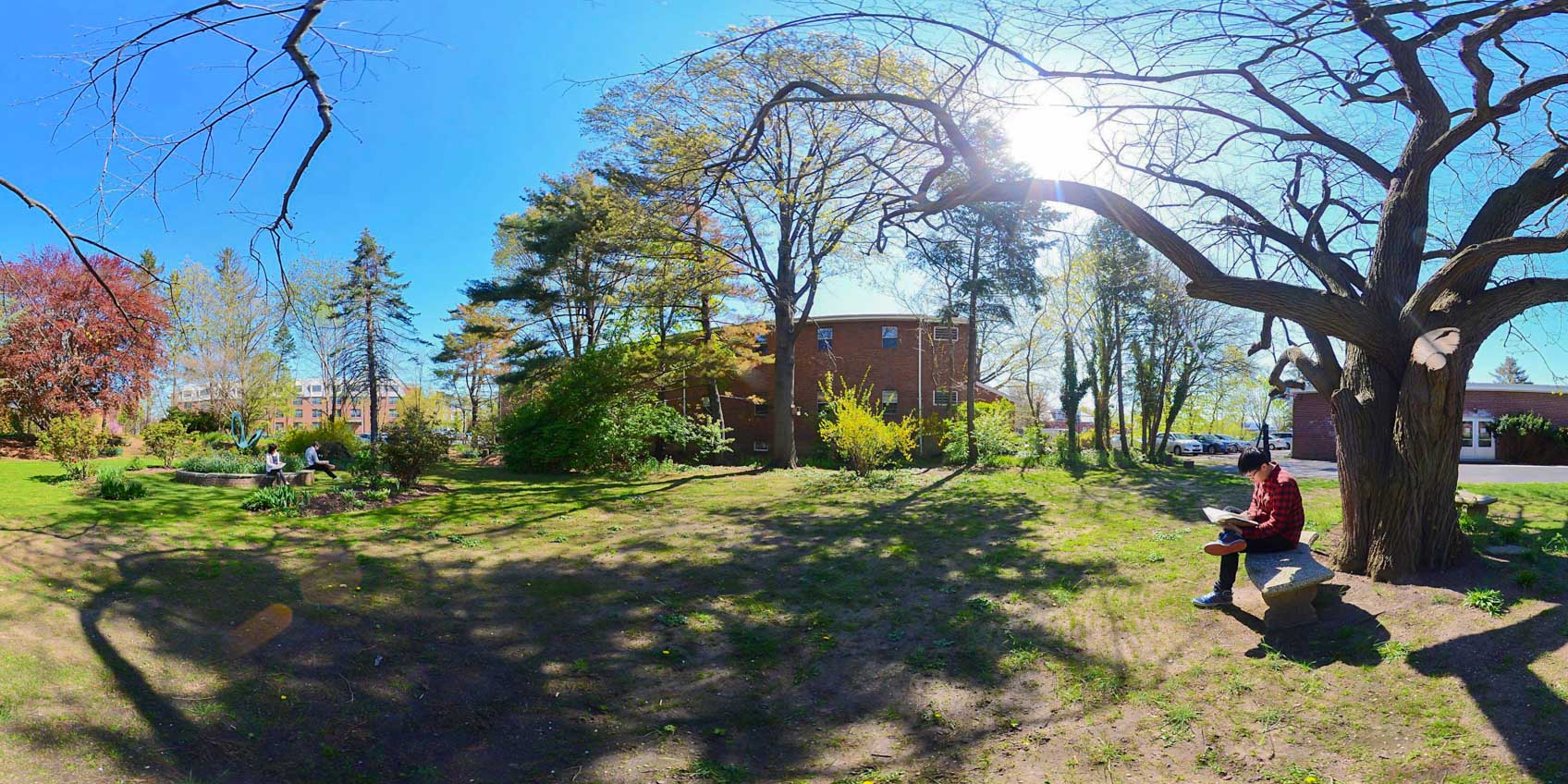 The Waldorf School of Garden City 花園城華道夫?qū)W校