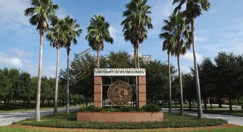 University of south Florida南佛羅里達大學(xué)怎么樣